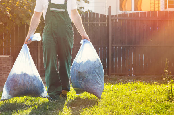 Best Basement Cleanout Services  in Clayton, CA