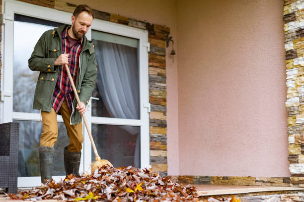 Best Junk Removal and Recycling  in Clayton, CA
